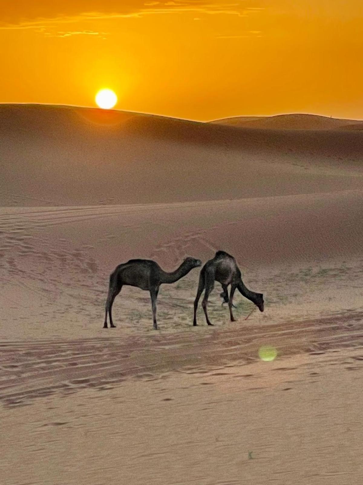 Chigaga Desert Camp M’hamid El Ghizlane Exterior foto